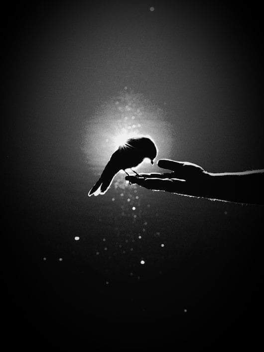 ��������� ����