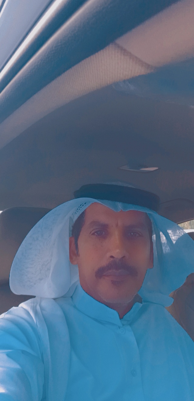 ���� ����_QOfER