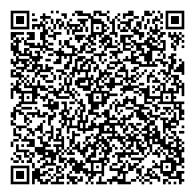 ���� �������